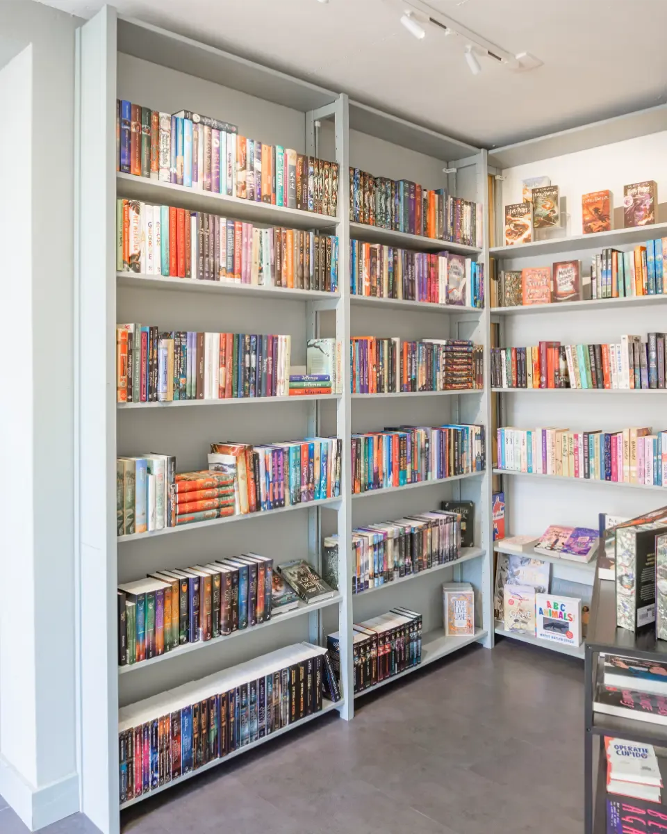 Hellgraue Bücherregale mit verschiedenen bunten Büchern in einem hellen Raum mit grauem Boden und elegantem Deckenlicht