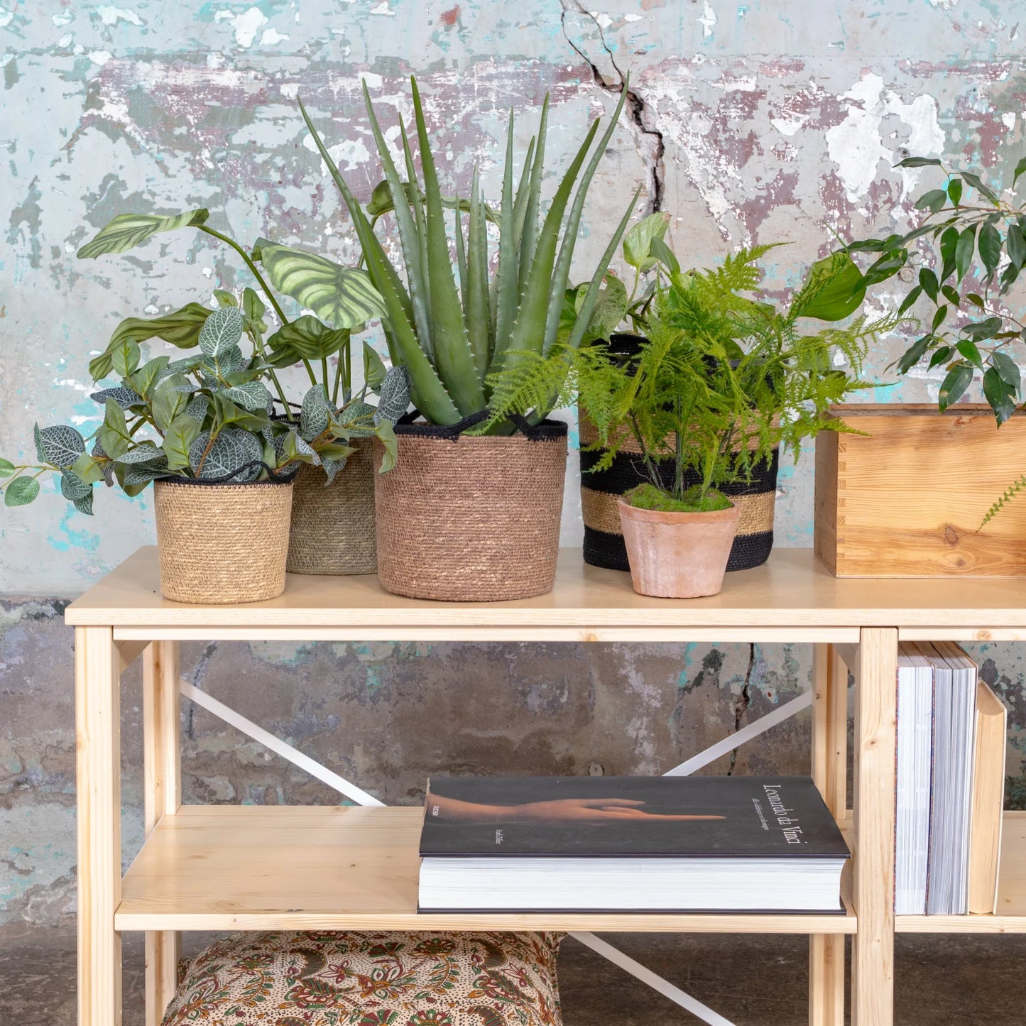 Sideboard | Lundia Original | Klar lackiertes Massivholz mit Pflanzen, Körben und Dekoration