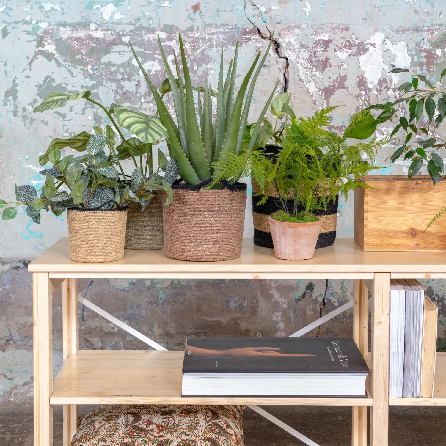 Sideboard | Lundia Original | Klar lackiertes Massivholz mit Pflanzen, Körben und Dekoration