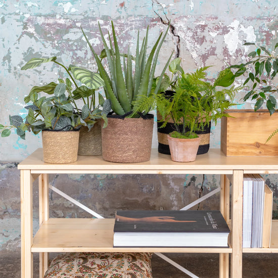 Sideboard | Lundia Original | Klar lackiertes Massivholz mit Pflanzen, Körben und Dekoration