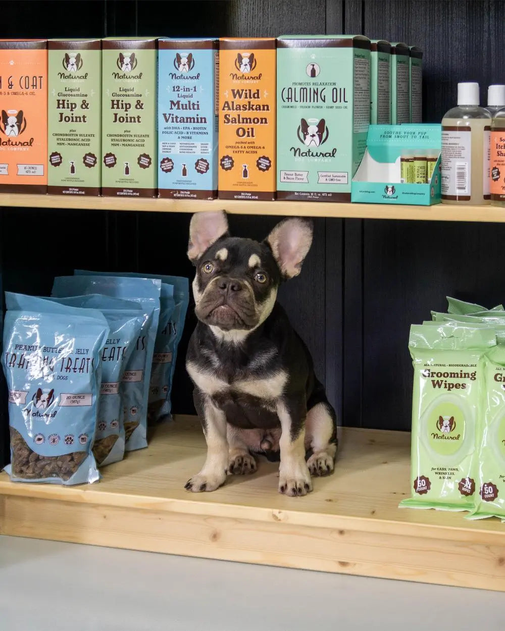 Kleine hond zittend op houten plank tussen verpakkingen met verzorgings- en voedingsproducten voor huisdieren