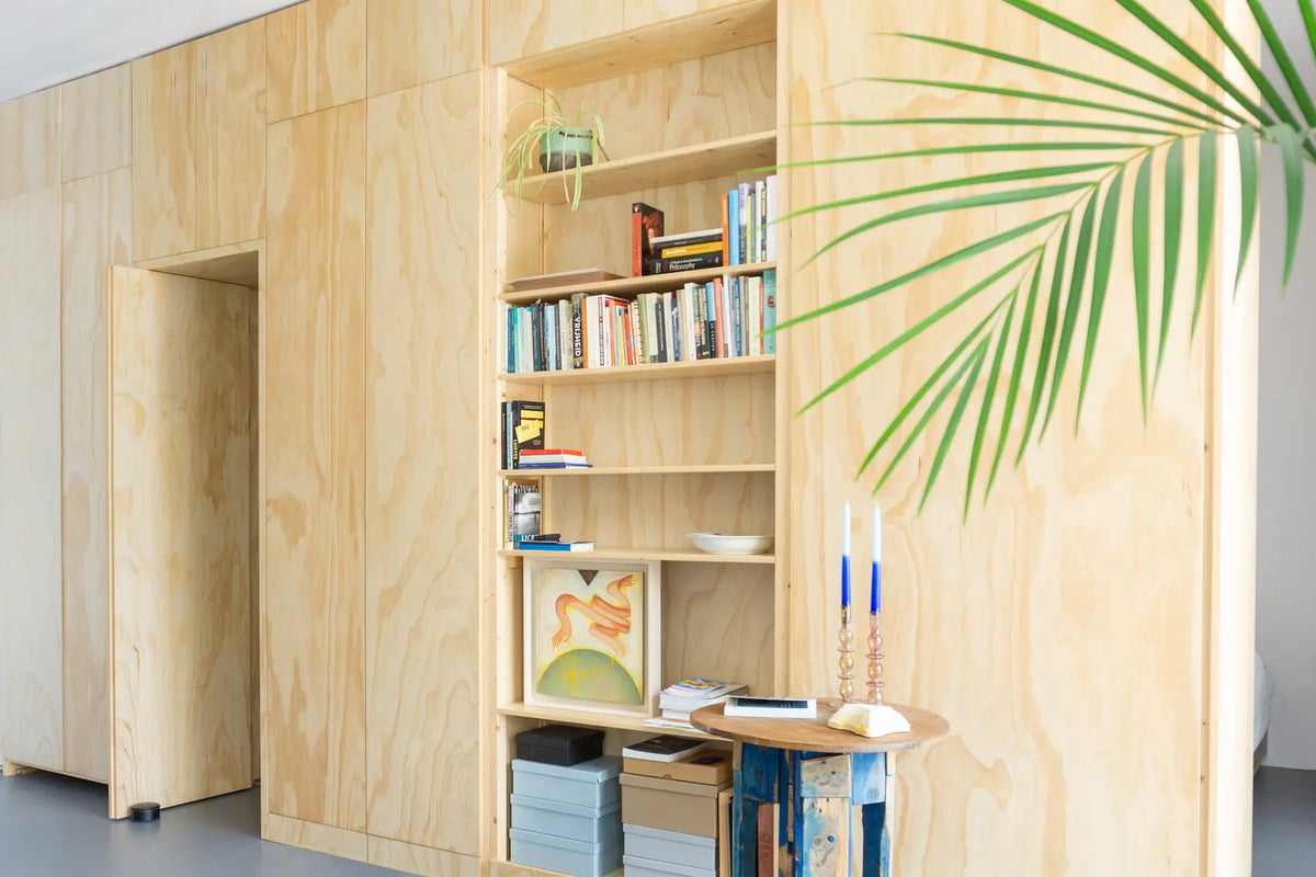 Lichte houten wand met ingebouwde open kast gevuld met boeken, dozen en een schilderij naast groot groen blad